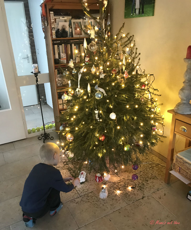 Kerstboom opruimen