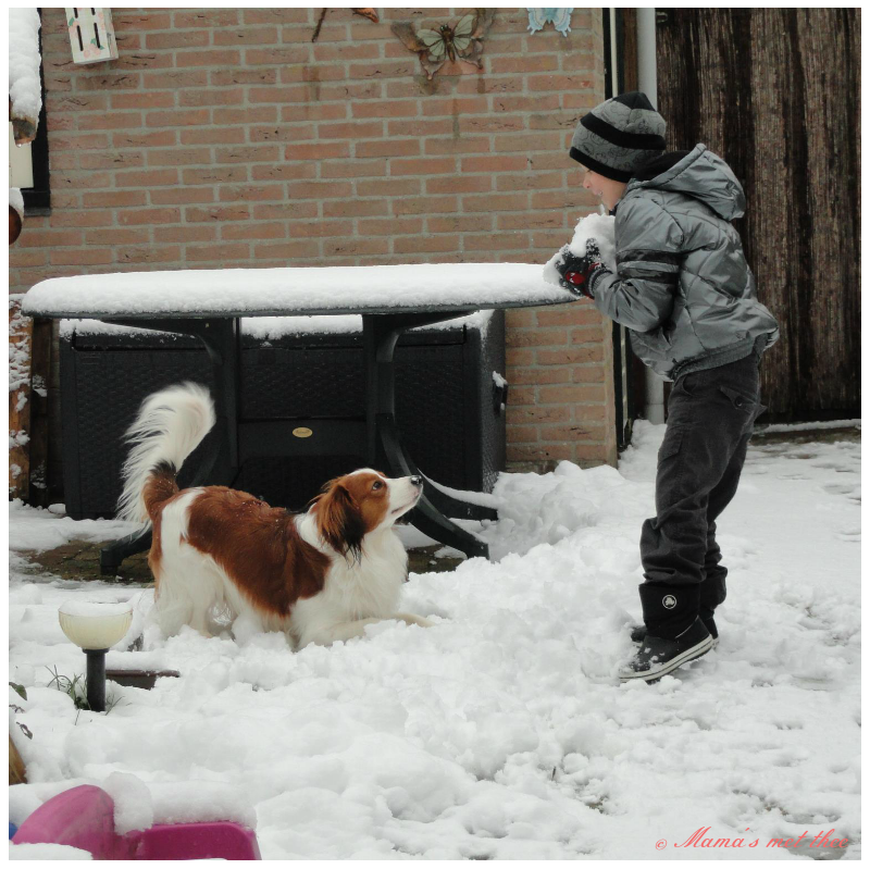 Sneeuwpret kind en hond